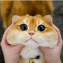 1433s1ngl3._.hand3dlyv53xxiv