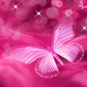 motyl89