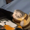 Discord Avatar