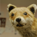 avatar 𝔣𝔞𝔫𝔫𝔦