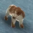 j0nald