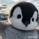 iamsano