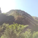 yorkleo21