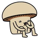 tkplays