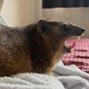 avatar кетамин