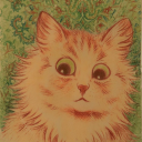 avatar user419876252