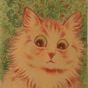 avatar user419876252