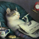 avatar user419876252