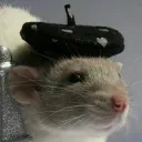 jonast911