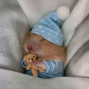 avatar 𝗖𝗛𝗘𝗪