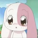 bunnybh