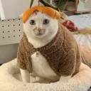 shurkhit