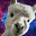 avatar SpaceLlama