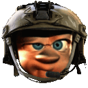doc_ice_elm