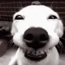 woooooooooow