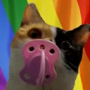 meamcat