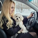 avatar Angel❦꧁••