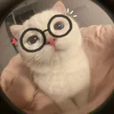ulla's Avatar