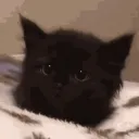 matyii