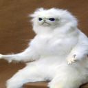 timoavatar114's Avatar