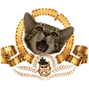 obbydkt