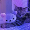 mushymeow