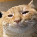 avatar ❀Jᴀ×ɨᴛʜヅඞ