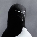 avatar ❀Jᴀ×ɨᴛʜヅඞ