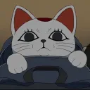 katusedcharm