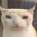 maybeaidan