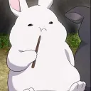 doctortokki