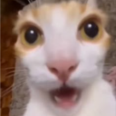 QIX
