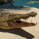 avatar CrocodylusNiloticus