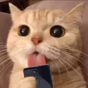 teoyman