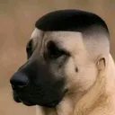 kill0w