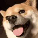 dogmeats