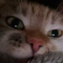 avatar Annaa ˙ᵕ˙