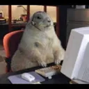 gonzod