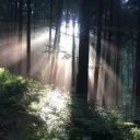 dopehover