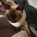 Discord Avatar