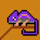 zoodev