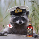 Bjørn