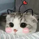 yuni.bean