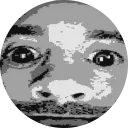 jensnilsson