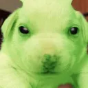 jigglyslug