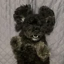 cundeogaebi