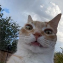 vamphirl#7006's avatar