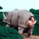 ___rhino___