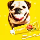 YRalps's Avatar