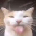 wanessacasaes member profile picture